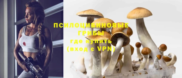 стафф Бикин