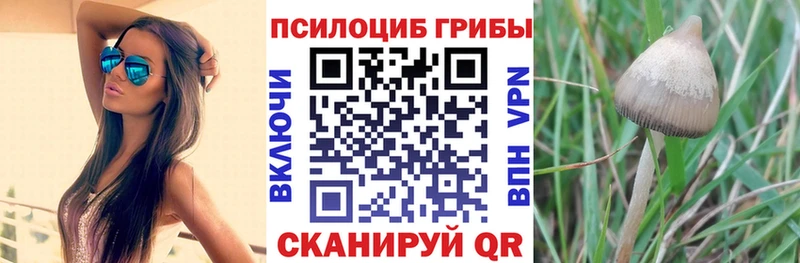 KRAKEN ONION Хабаровск darknet какой сайт Галлюциногенные грибы ЛСД