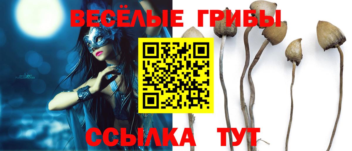 Псилоцибиновые грибы прущие грибы Хабаровск