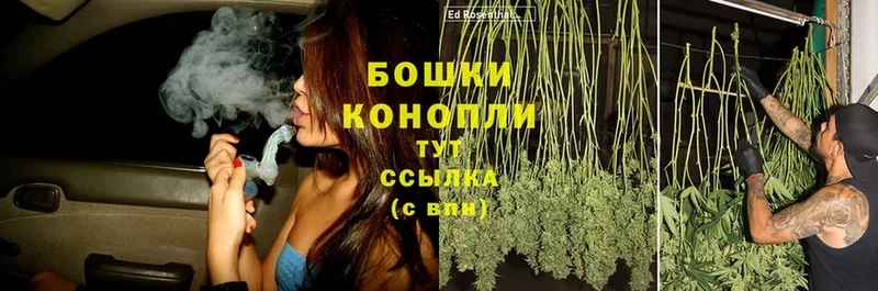 Канабис OG Kush  Хабаровск 